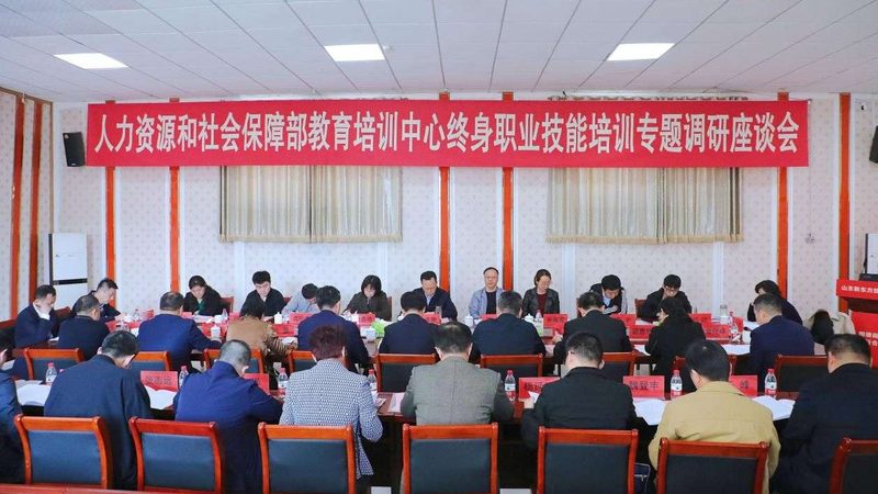 自考本科与成考：两种途径的深入解析与选择指南